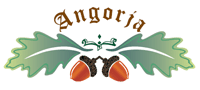 logo ANGORJA - Producent Mebli Dębowych