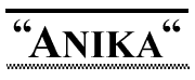 logo Firma Handlowo-Usługowa ANIKA