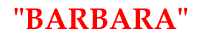 logo BARBARA - Transport Drogowy