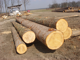 DREW-ROL - tartak, tarcica, drewno budowlane, piaskowanie u klienta