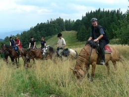 Ośrodek Górskiej Turystyki Jeździeckiej "MOS"