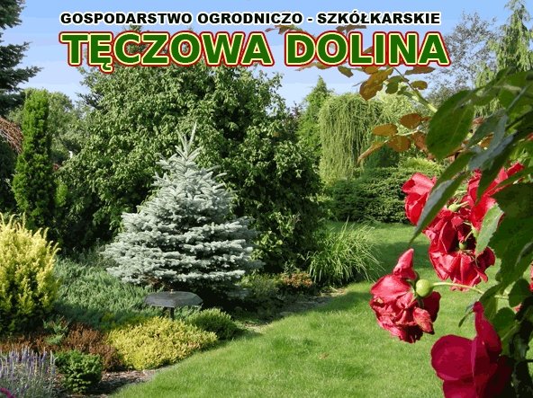 Gospodarstwo Ogrodniczo-Szkółkarskie "TĘCZOWA DOLINA" Szkółka drzew i krzewów ozdobnych  