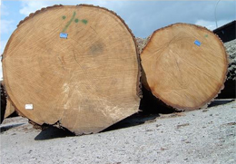 Zakład Produkcyjno-Handlowy WYROBÓW DRZEWNYCH - Drewno dębowe
