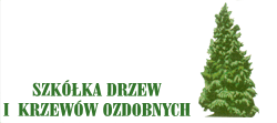 Szkółka Drzew i Krzewów Ozdobnych . . .